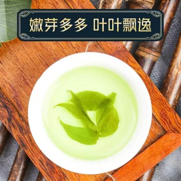 Yuqing small leaf Kudingcha 2024 new tea wild premium genuine green mountains and green waters 500g big leaf Kudingcha - Image 4