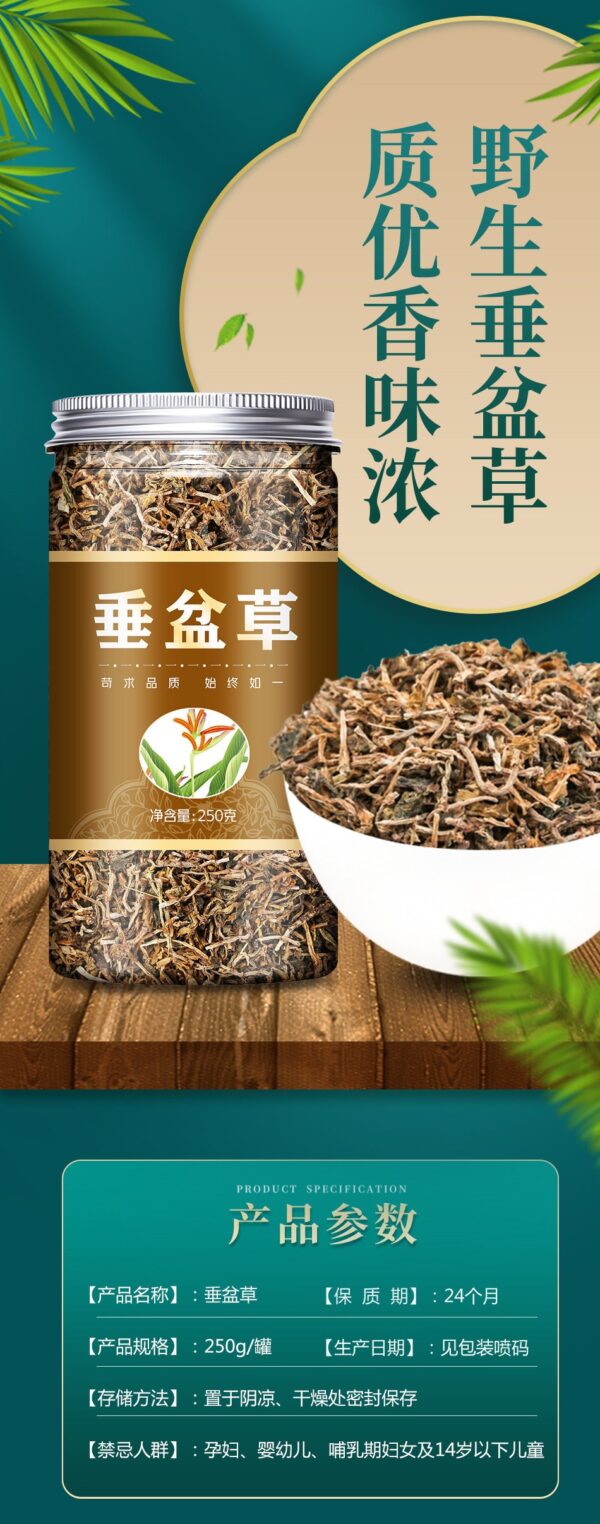 250g vertical pot grass, dried vertical pot grass tea, hammer pot grass, non-Yue Chinese herbal medicine store Daquan - Image 6