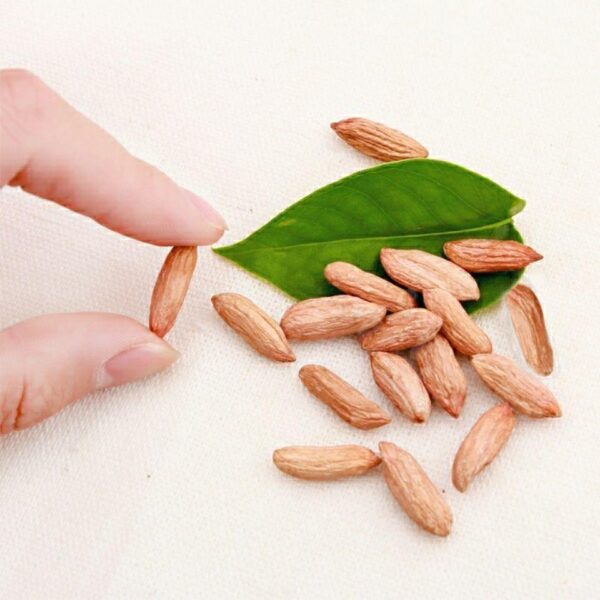 2023 Shandong deflated peanuts, new peanuts this year, small peanut kernels, sweet snacks, yakuza peanuts - Image 4