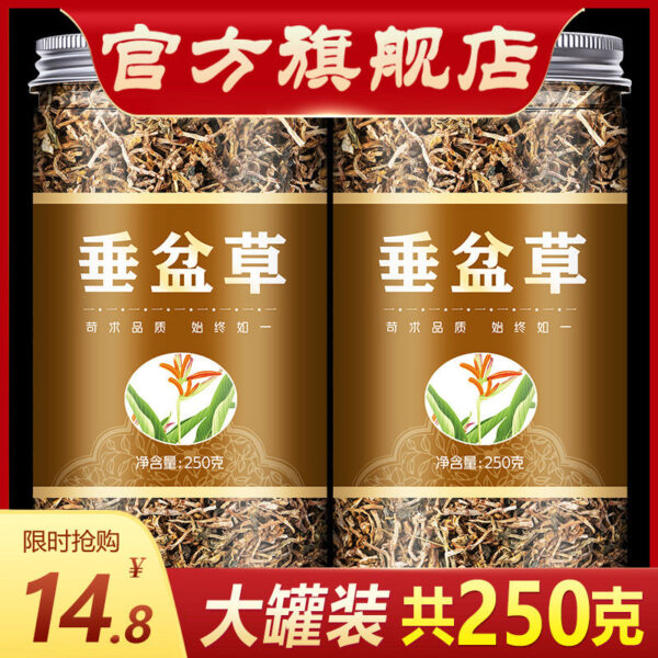 250g vertical pot grass, dried vertical pot grass tea, hammer pot grass, non-Yue Chinese herbal medicine store Daquan