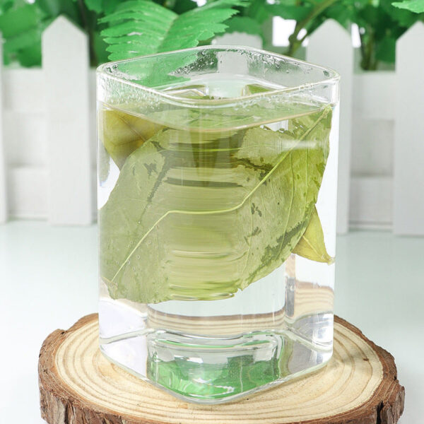 500G orange leaves, kumquat leaves, genuine Chinese herbal medicines, fresh dry goods, orange leaves, orange pits, orange rings soaked in water to drink - Image 5
