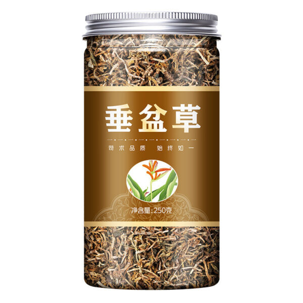 250g vertical pot grass, dried vertical pot grass tea, hammer pot grass, non-Yue Chinese herbal medicine store Daquan - Image 5