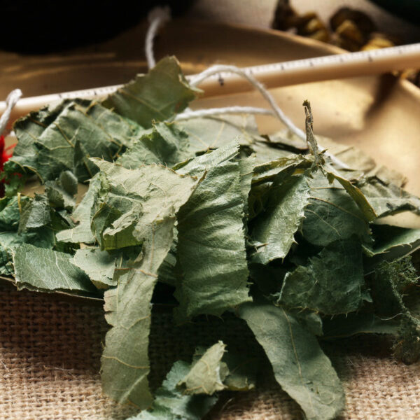 Fudonghai Epimedium leaves 100g soaked in wine, medicinal materials, male health tea soaked in water, soaked in wine materials, Epimedium live broadcast - Image 6