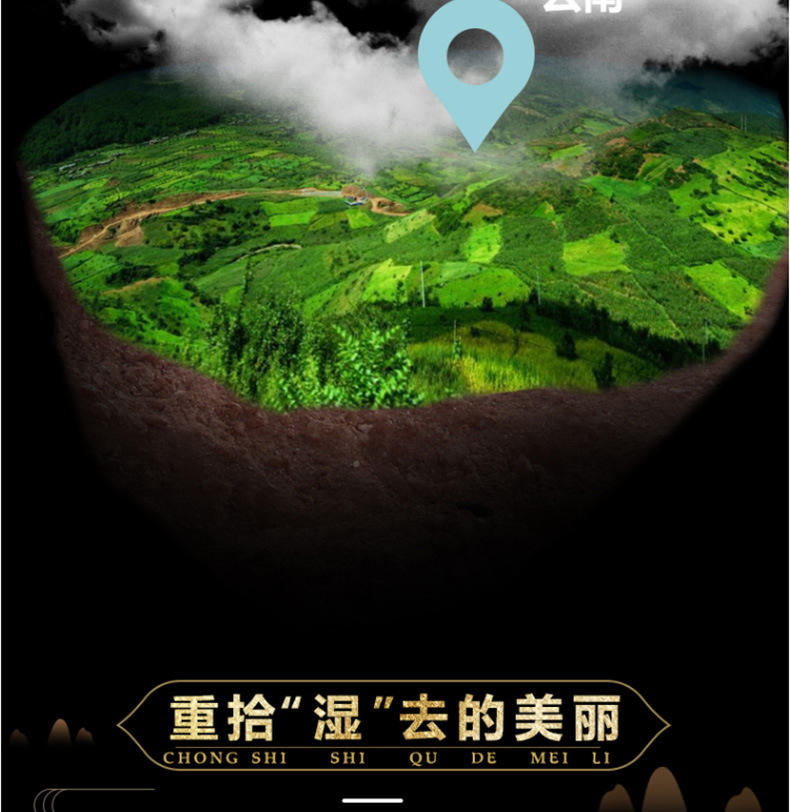 茯苓_09.jpg