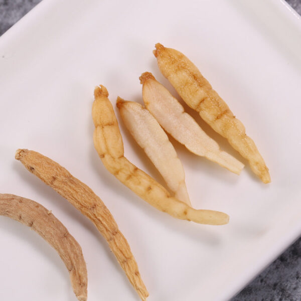 Fudonghai Prince Ginseng 150g/can, Fujian Zherong, a variety of specifications, origin supply, soup ingredients recruit agents to send - Image 4