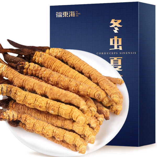 Fudonghai, Cordyceps sinensis, wholesale Cordyceps sinensis selected 4 pieces/gram foot, dried Cordyceps sinensis, Cordyceps sinensis line gift - Image 6