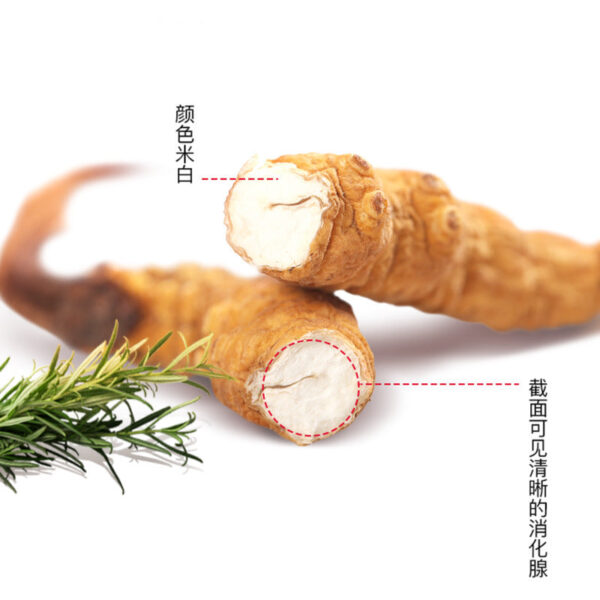 Fudonghai, Cordyceps sinensis, wholesale Cordyceps sinensis selected 4 pieces/gram foot, dried Cordyceps sinensis, Cordyceps sinensis line gift - Image 2