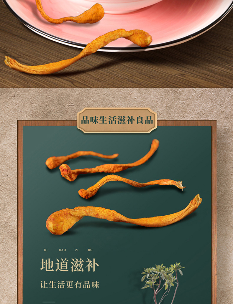 虫草花_05.jpg