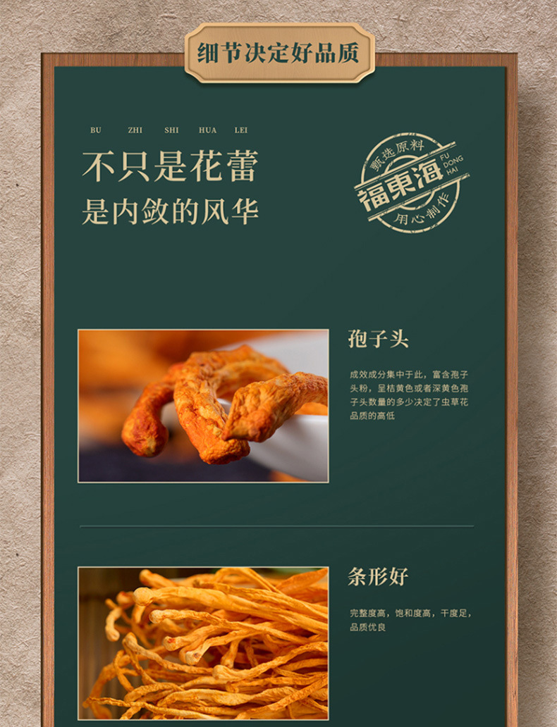 虫草花_10.jpg