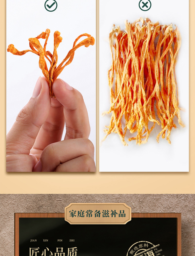 虫草花_12.jpg