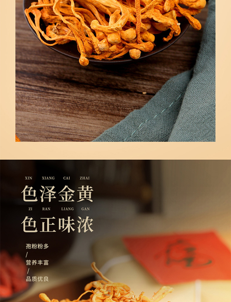 虫草花_07.jpg