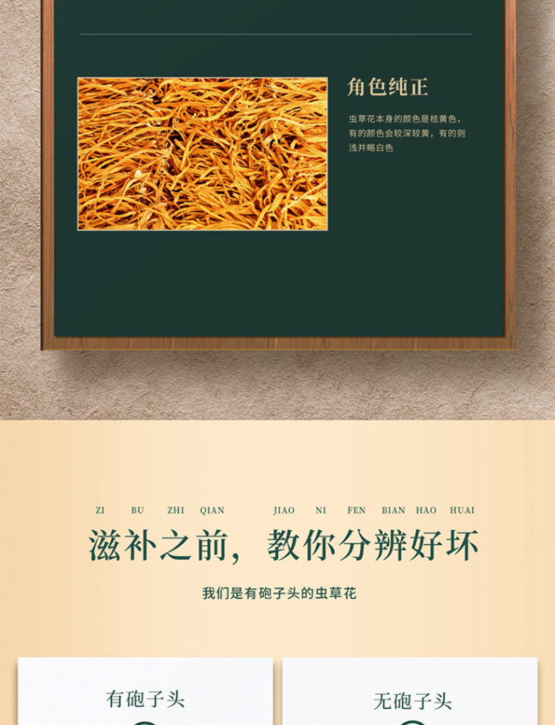 虫草花_11.jpg