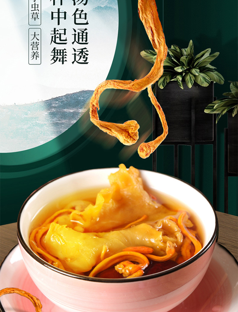 虫草花_04.jpg