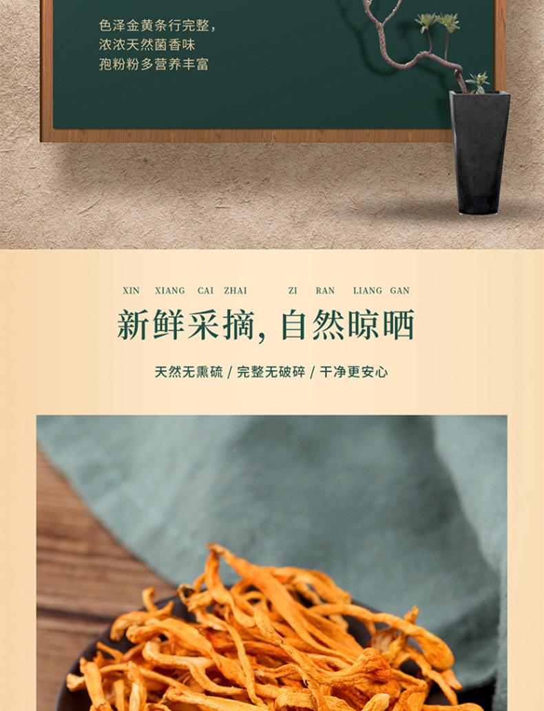 虫草花_06.jpg