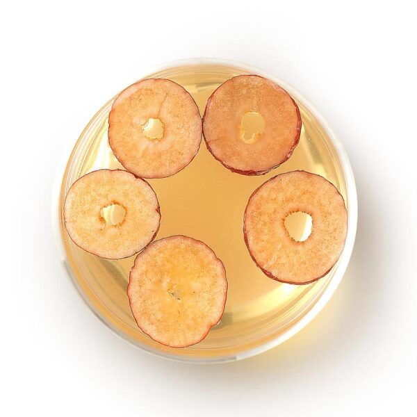 Fudonghai red date slices crispy 200g canned bags Xinjiang Ruoqiang dried red dates seedless dried red dates in bulk - Image 5