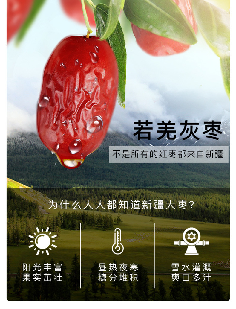 红枣400g_05.jpg