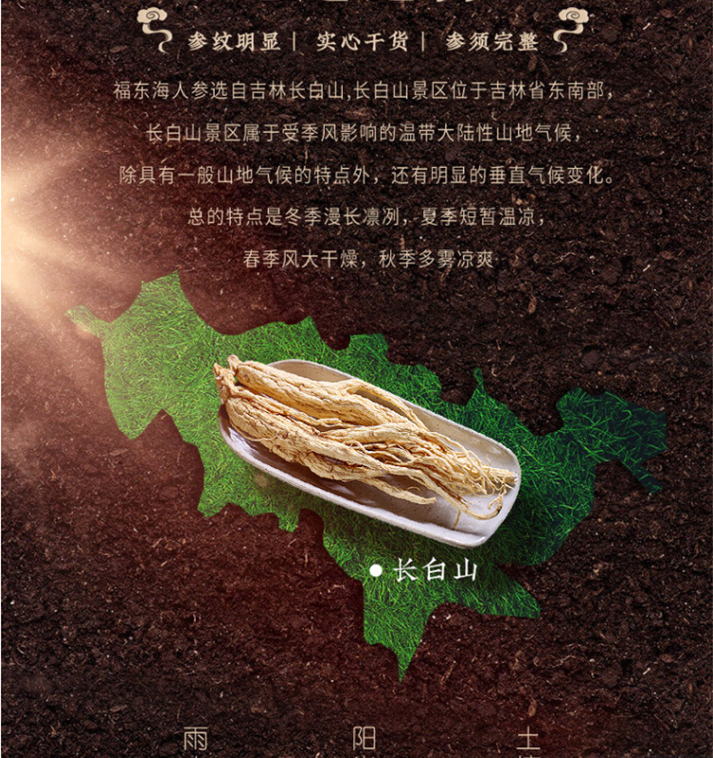人参_05.jpg