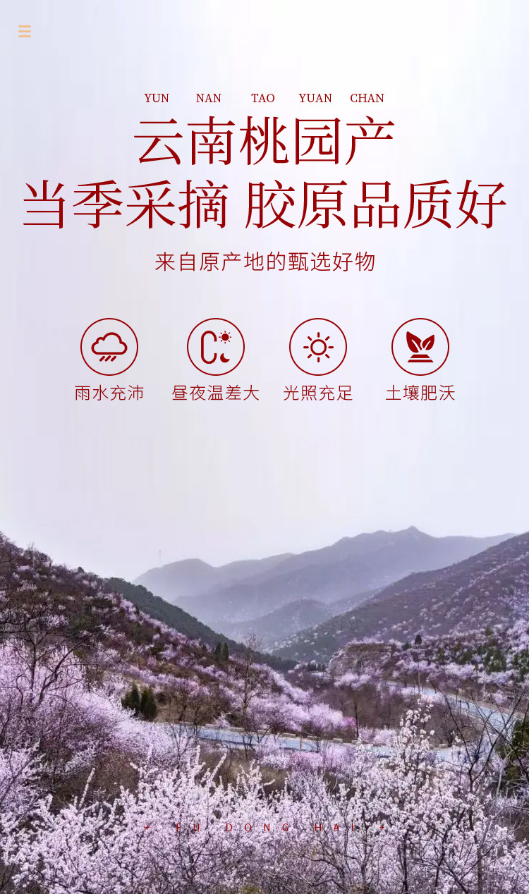 桃胶250克详情页_06.jpg