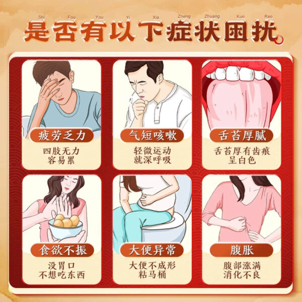 Beijing Tong Ren Tang Shenling Baizhu Pills 6g * 12 bags to strengthen the spleen, nourish qi and remove dampness, regulate the weakness of the spleen and stomach, detoxify and remove dampness - Image 2