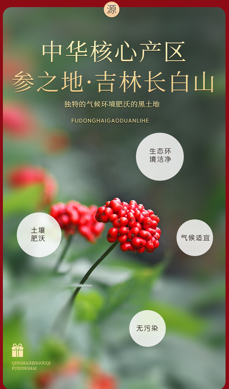 图片_11.jpg