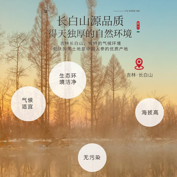 Fudonghai Red Ginseng 45g Wholesale Changbai Mountain Origin Selected Red Ginseng Slices Large Northeast Soaked in Water Instant Red Ginseng - Image 5