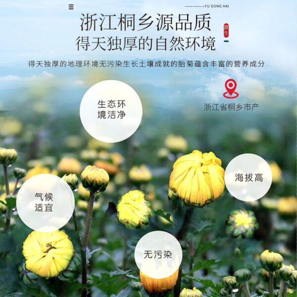Fudonghai fetal chrysanthemum 138g Tongxiang head stubble fetal chrysanthemum chrysanthemum tea Hangbai chrysanthemum high-quality new wholesale flower and grass tea soaked in water - Image 3