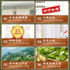 Zhongmin Hongtai Premium Fragrant Special 500 Anxi Tieguanyin Special Offer Zhengwei Alpine Handmade Tea Tea 500g - Image 5