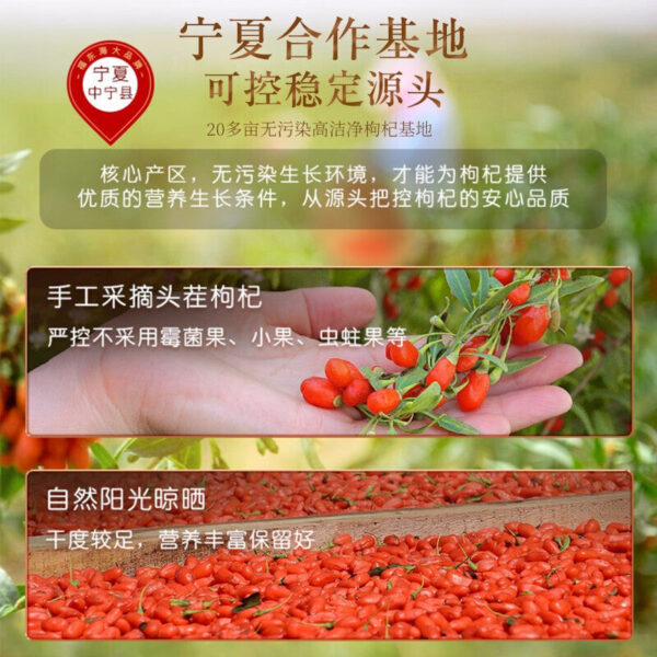 Fudonghai wolfberry 190g/can wholesale Ningxia genuine premium first stubble red wolfberry high-quality big fruit leave-in - Image 2