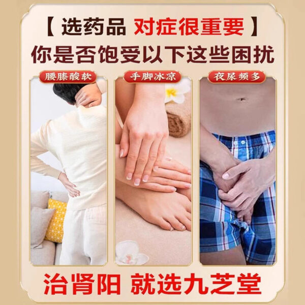 Jiuzhi Tang Guifu Dihuang Pill Genuine Urine Frequent Kidney Deficiency Fuguili Middle Pill Kidney Yang Deficiency Constitution Traditional Chinese Medicine Conditioning Male - Image 2