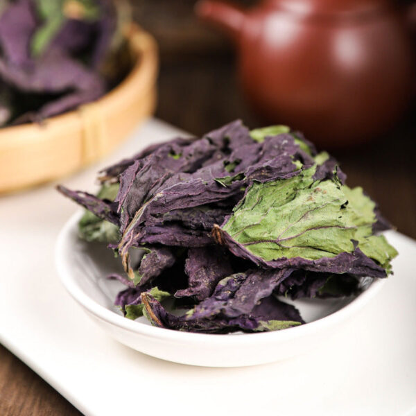 Atractylodes Angelica Xinyi flower perilla leaves Chinese herbal medicine genuine Atractylodes spices wholesale fresh perilla leaves dried soaked in water to drink - Image 4