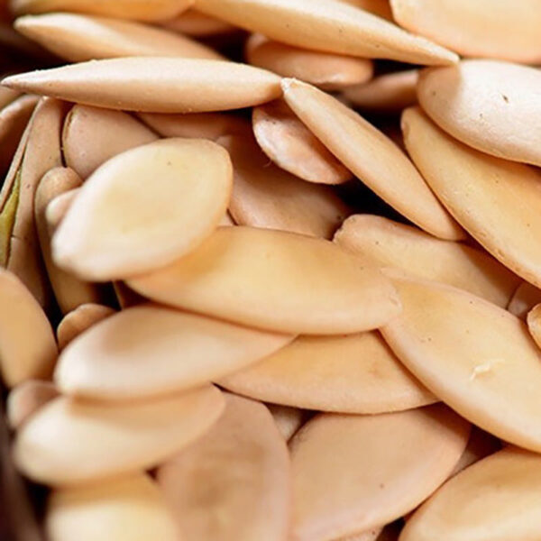 Cucumber Seed Powder Wholesale of Chinese Medicinal Materials Without Calcium Supplement, Fried Ripe Cucumber Seeds Pure Powder Raw Old Cucumber Seeds Pure - Image 4
