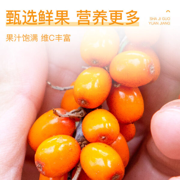 Fudonghai sea buckthorn puree 600ml/box sea buckthorn content whole fruit pulping Inner Mongolia fresh fruit freshly squeezed juice ready to eat - Image 3