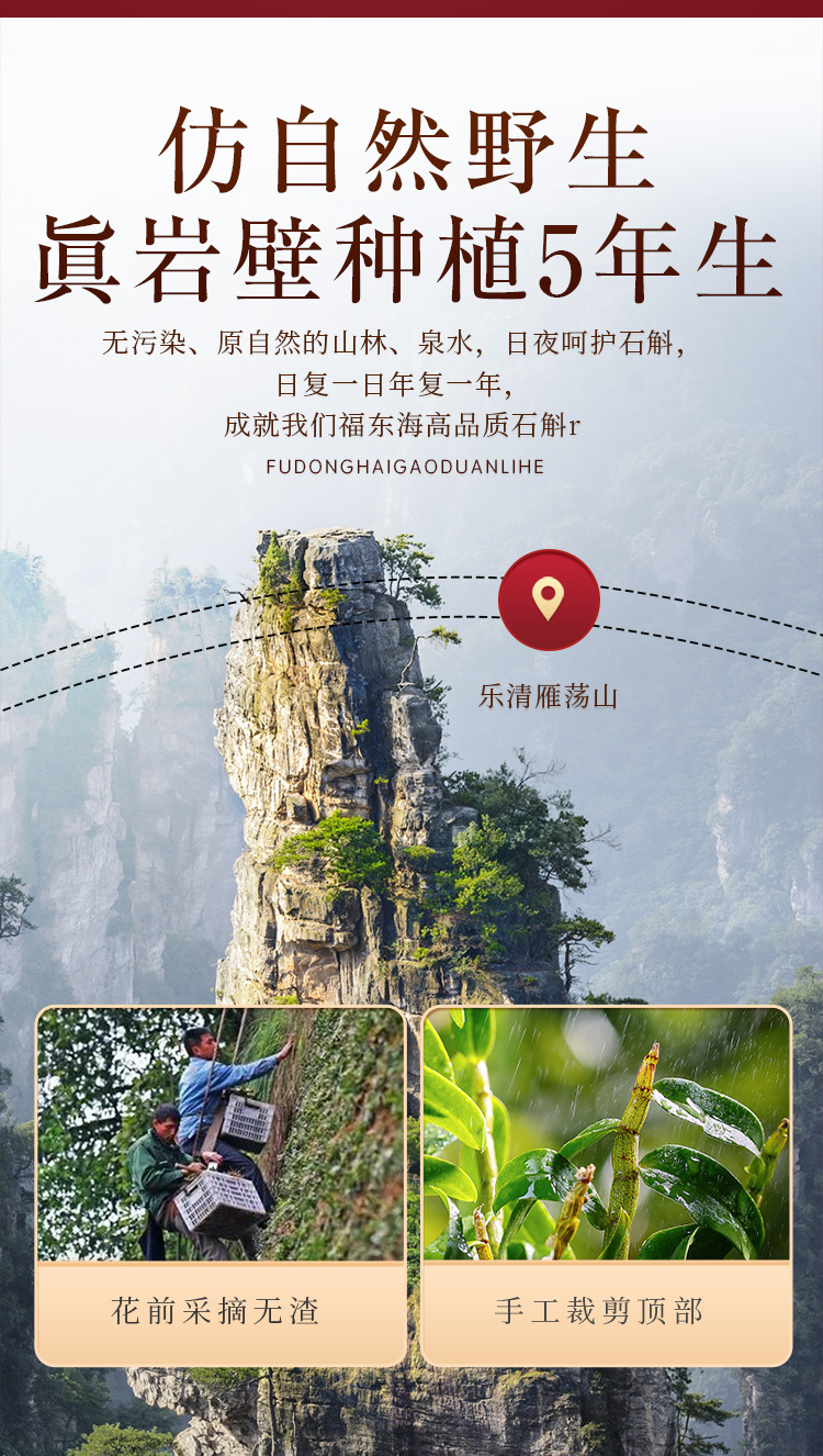 图片_10.jpg