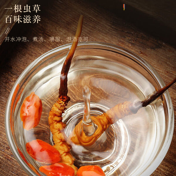 Fudonghai Cordyceps sinensis 4g Qinghai high-altitude source product selected Cordyceps dried wholesale gift box gift wholesale delivery - Image 3