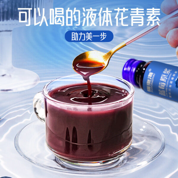 Fudonghai blueberry puree 500ml (50ml x10 sticks) fresh fruit puree liquid anthocyanins wholesale distribution - Image 3