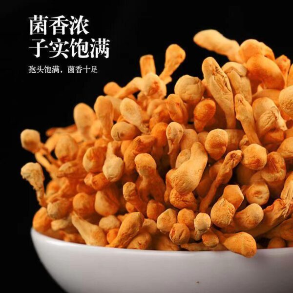 Cordyceps cordyceps flowers dried goods dried cordyceps mushrooms Cordyceps militaris hand-selected manual clean and miscellaneous - Image 2