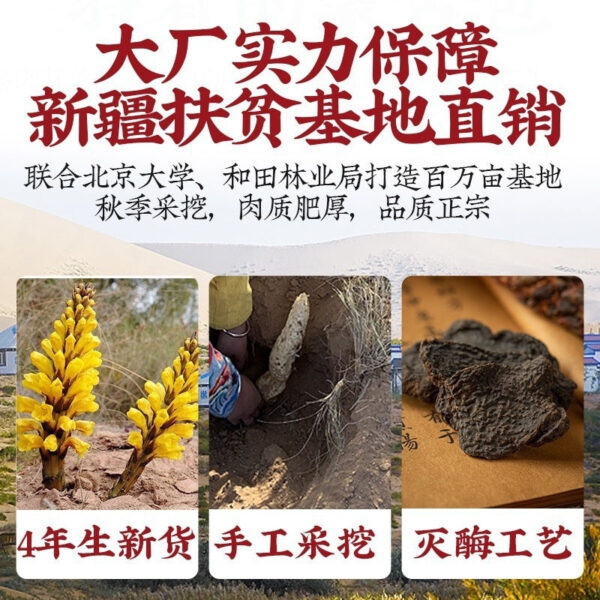 Chinese herbal medicine Cistanche 500g genuine Alxa whole root Cistanche sliced sparkling wine material male nourishment - Image 2