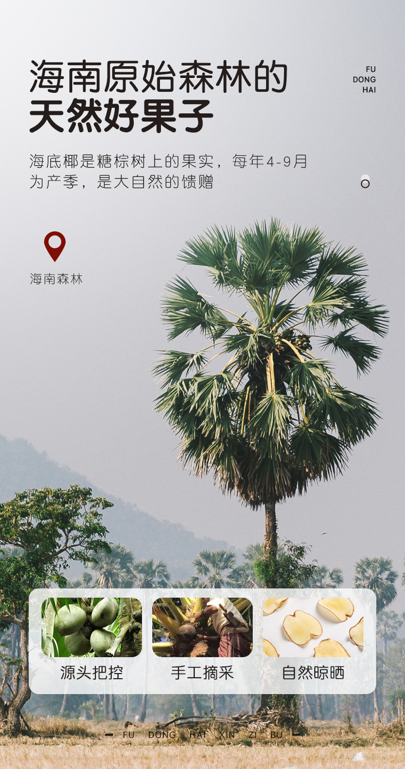 海底椰100克详情页_05.jpg