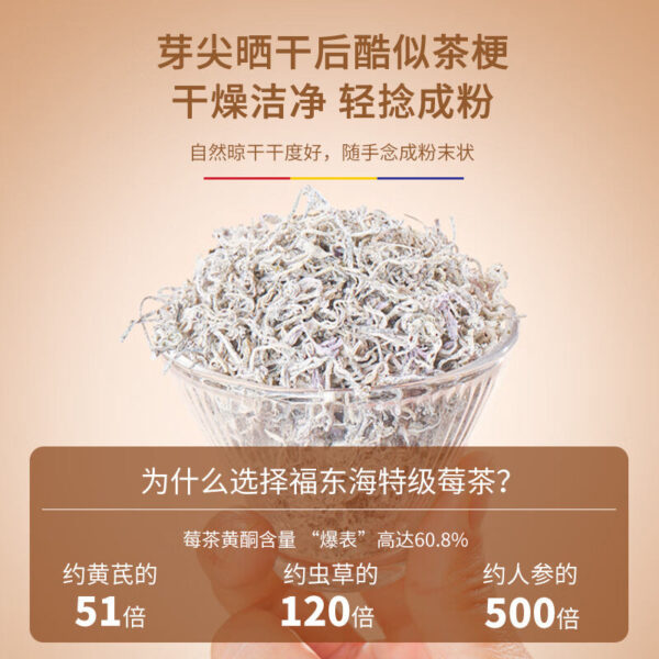 Fudong sea berry tea bud tip 100g/box, Hunan Zhangjiajie premium dragon beard bud tip health tea wholesale distribution - Image 4