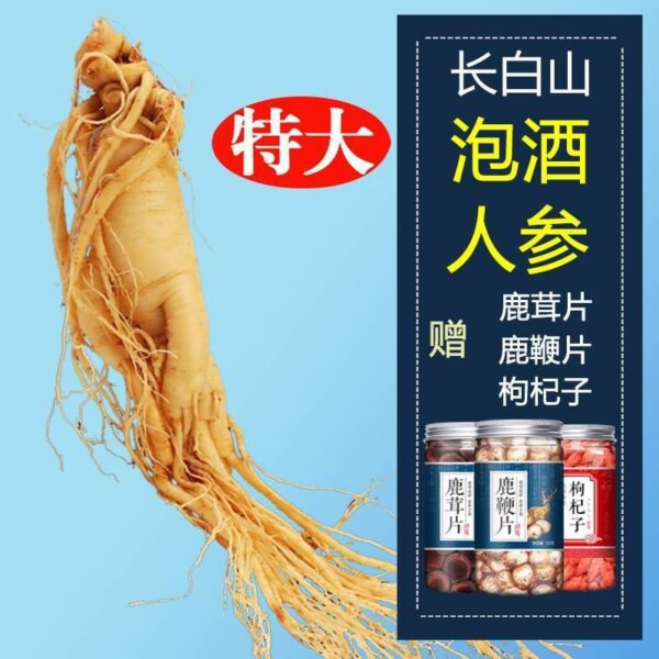 Fresh ginseng, Northeast Changbai Mountain sparkling wine for 10 years, extra large fresh ginseng, dried wild mountain ginseng, Jilin raw sun dry goods life