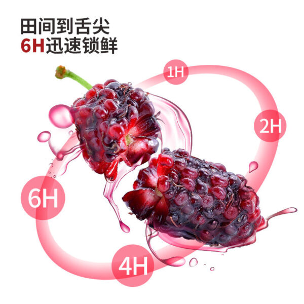 Fudonghai mulberry puree 300ml Mid-Autumn Festival gift, black mulberry fruit, freshly squeezed mulberry puree, mulberry wholesale delivery - Image 4