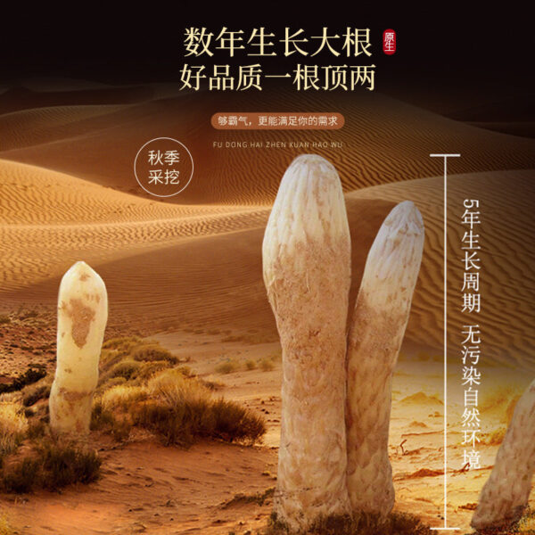 Fudonghai Cistanche 250g two gift boxes, Inner Mongolia Alxa whole root Chinese herbal medicine wholesale sparkling wine material - Image 4