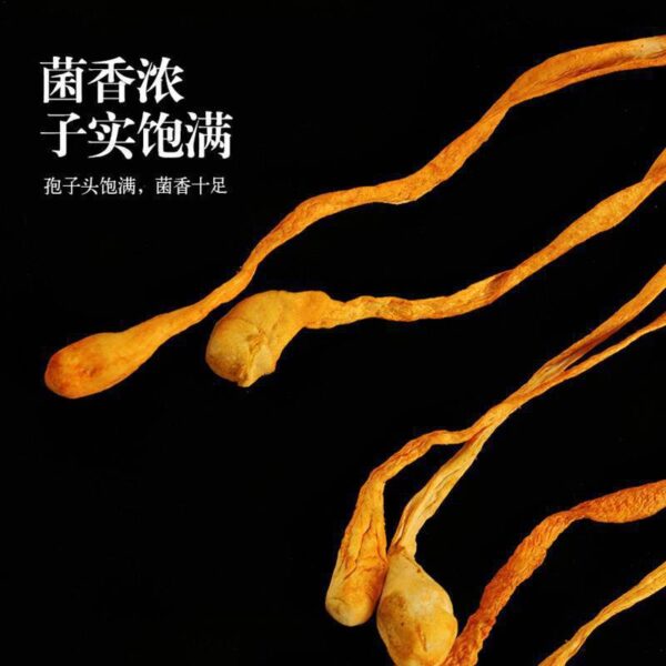 Cordyceps cordyceps flower dried goods official flagship store dried Cordyceps militaris gold insect North insect mushroom commercial morels soup package stewed chicken soup - Image 2