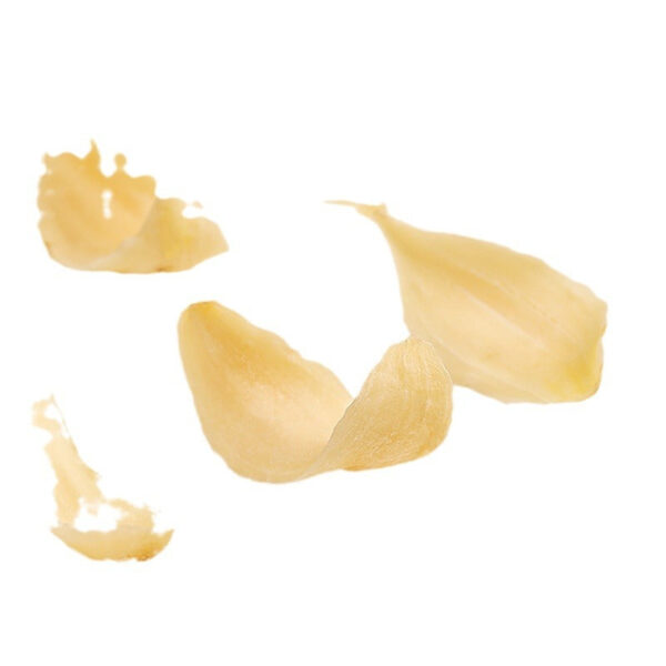 Fudonghai dried lily 150g factory direct sales food agricultural products canned lily soup porridge high-quality recruitment agent - Image 5