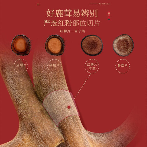 Fudonghai deer antler slices 10g Northeast Jilin deer antler rice noodles genuine red powder slices soaked in wine soaked in water new wholesale - Image 3