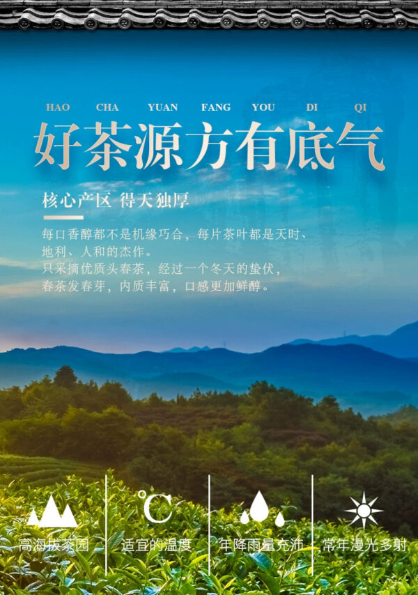 Flower and fruit fragrant cinnamon skin Wuyishan strong fragrance Dahongpao Xinyan tea high-end gift box small bag 500g - Image 4