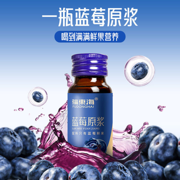 Fudonghai blueberry puree 500ml (50ml x10 sticks) fresh fruit puree liquid anthocyanins wholesale distribution - Image 2
