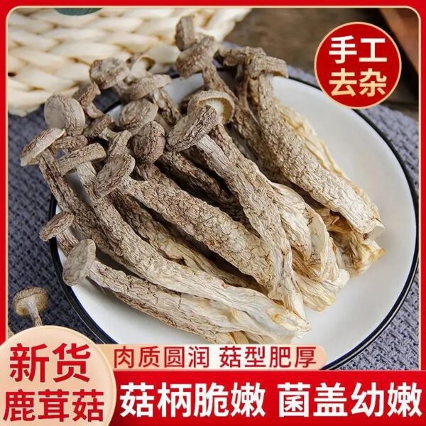 Deer Antler Mushroom Edible Mushroom Dried Goods Nutrition Shiitake Mushroom Soup Ingredients Deer Antler Mushroom Dry Pot Stir-fried Fragrance Fresh and Delicious - Image 3