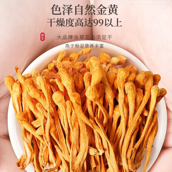 Fudonghai Cordyceps flower 200g North Cordyceps Jilin Golden Cordyceps militaris Cordyceps new goods Shanzhen dry goods soup wholesale - Image 4