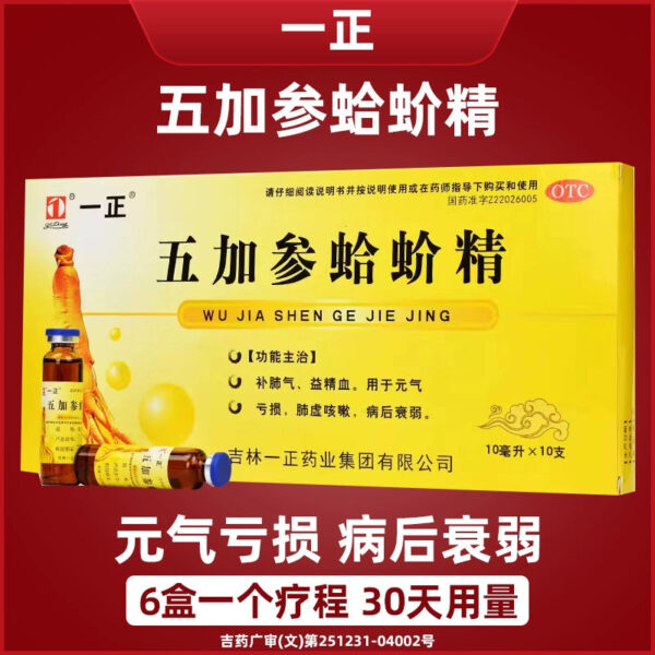 Yizhengwujia Gecko Essence 10 sticks/box, vitality deficiency, lung deficiency, weakness after cough, mouth replenishing lung qi service liquid